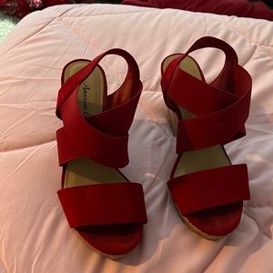 Red wedges